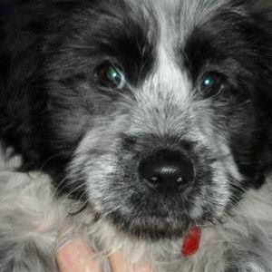 Meet your Posher, Jeannie